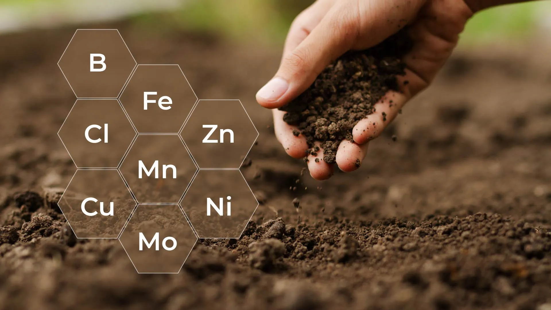 Corn Micronutrients & Soybean Micronutrients
