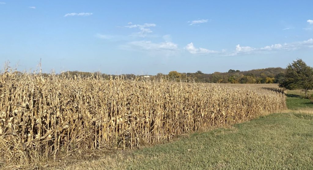 harvest and liquid fertilizer