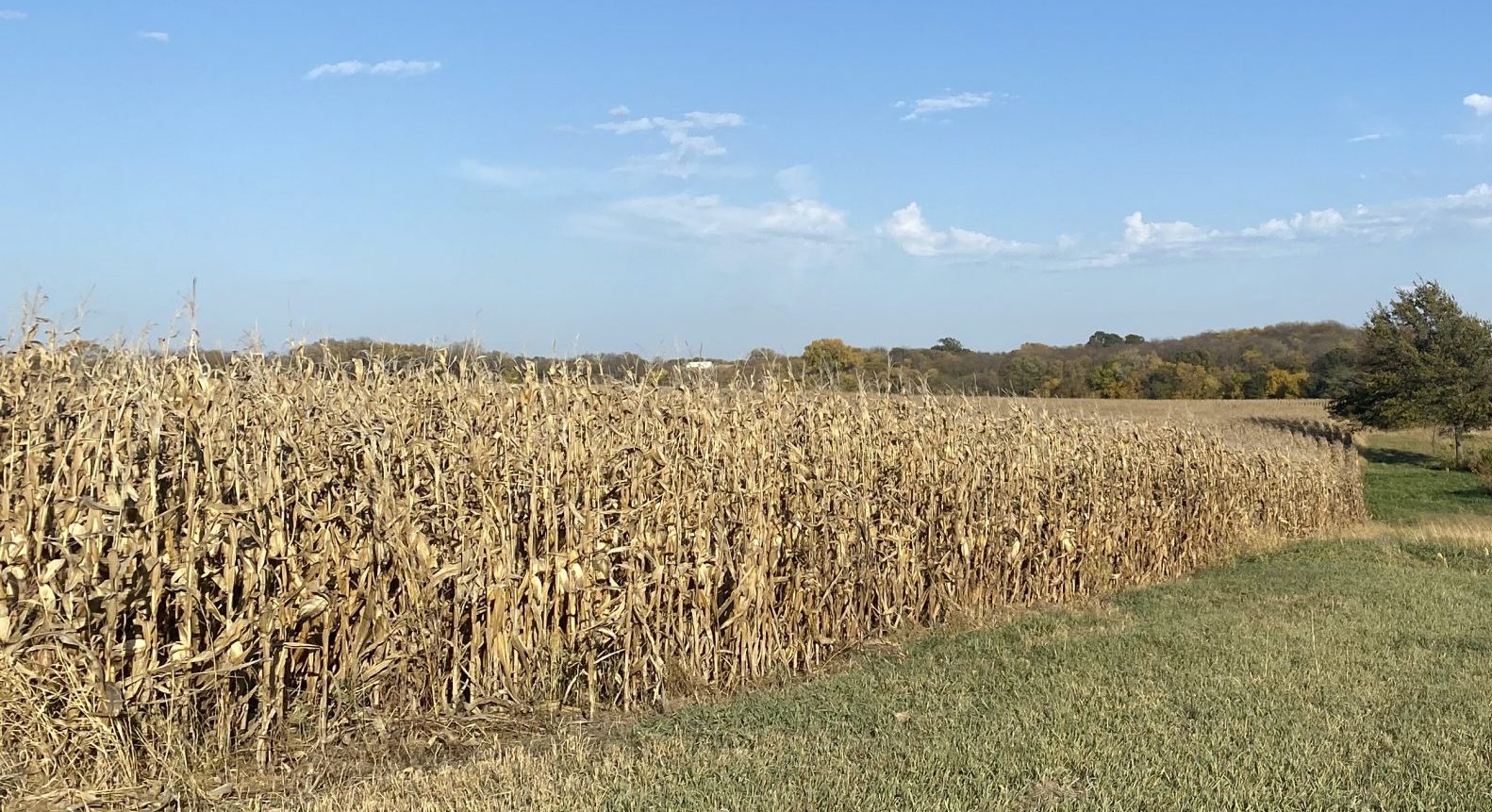 harvest and liquid fertilizer